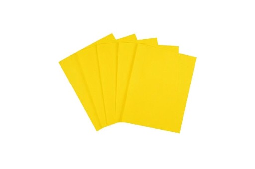 BRYSTOL KARTON PAPIER ŻÓŁTY A4 170G 20SZTUK p4p
