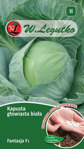 KAPUSTA GŁOWIASTA FANTAZJA WCZESNA OTOCZKI