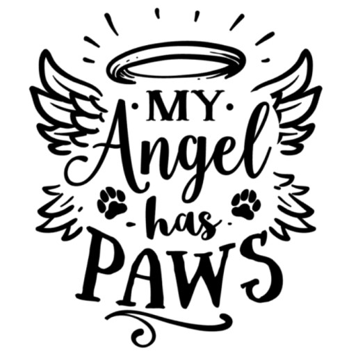 Naklejka z kocim motywem My angel has paws prezent