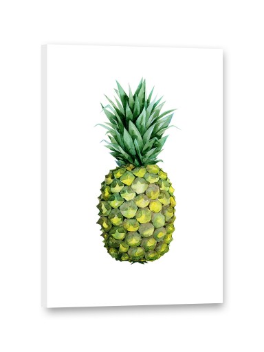 # ANANAS Obrazy na płótnie 40x60 Obraz