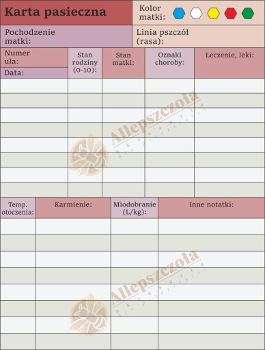 Karta pasieczna DUŻA FOLIOWANA WIELOLETNIA fiolet kwadrat 1 szt