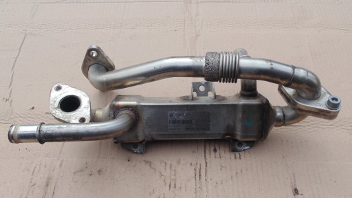 Volkswagen oe 038131513l chlodnica, система охолодження двигун1 - фото