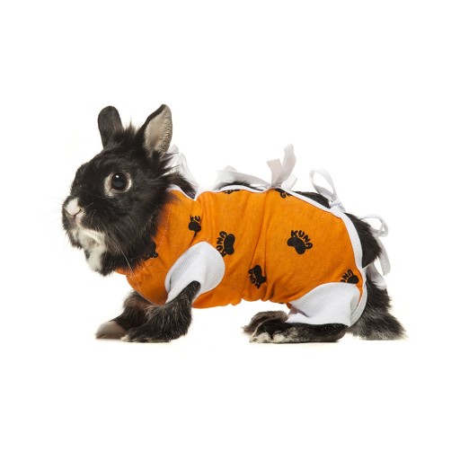 Ubranko Pooperacyjne Dla Psa Kota Królika Xxs Ubranko Pooperacyjne Dla Psa Kota Królika Xxs