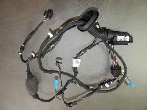 BMW 5 G30 cablaggio PORTA Portiera sinistra posteriore 45361503