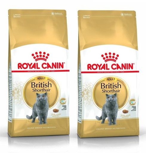 Royal canin british hot sale shorthair adult 10kg