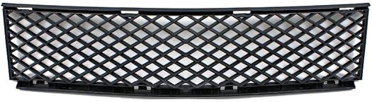 GRILLE IN BUMPER 202427 photo 1 - milautoparts-fr.ukrlive.com