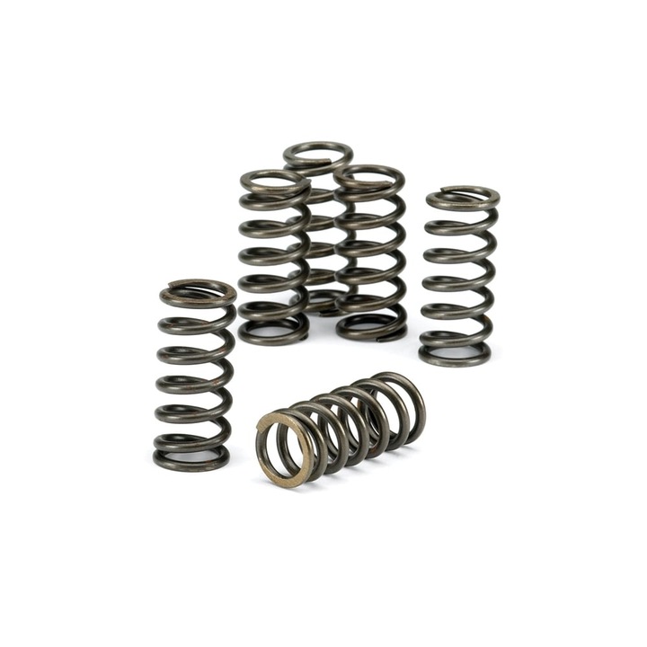 SET SPRING SPRZEGLOWE EBC HONDA CBR GL GSX photo 1 - milautoparts-fr.ukrlive.com