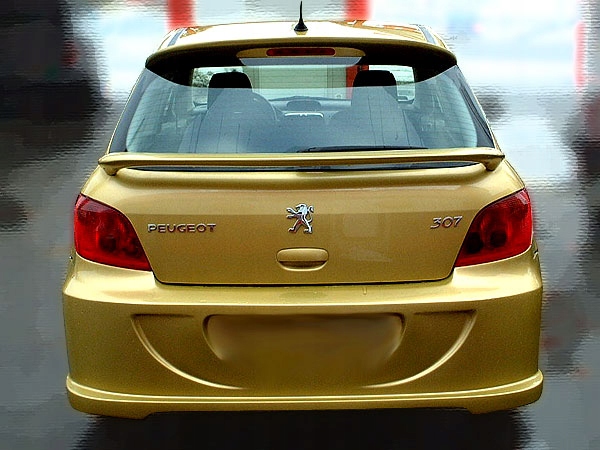 peugeot 307 tuning