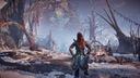 Zdjęcie oferty: HORIZON ZERO DAWN COMPLETE EDITION PL PS4