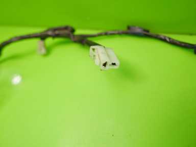 фото №7, Електропроводка двері правий перед suzuki swift iv mk4